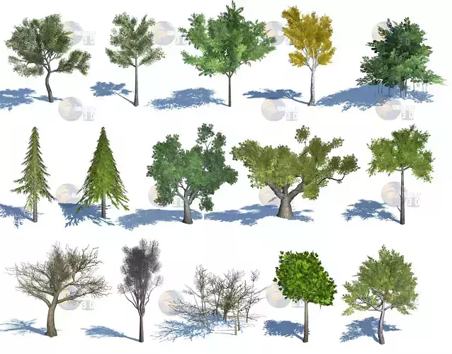 Natural Forest Trees Mega Pack Lowpoly 3d Model