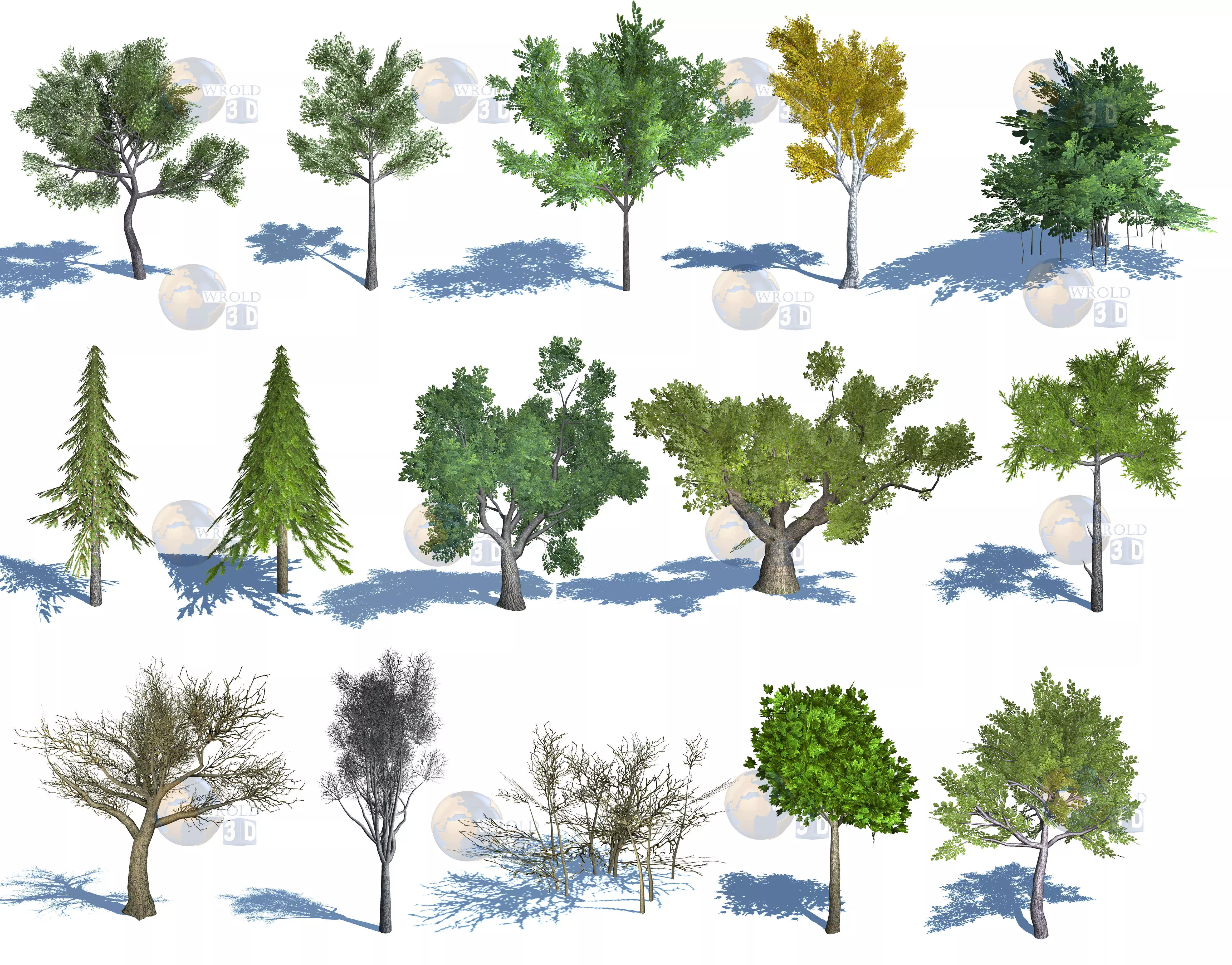 Natural Forest Trees Mega Pack Lowpoly 3d Model Low-poly 3D model