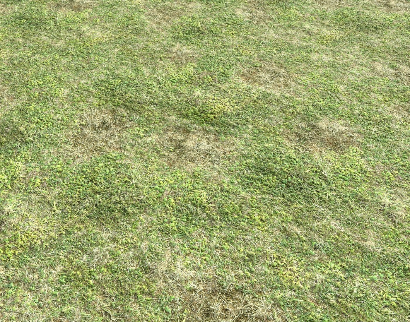 Forest ground Pack PBR 2 Texture_6