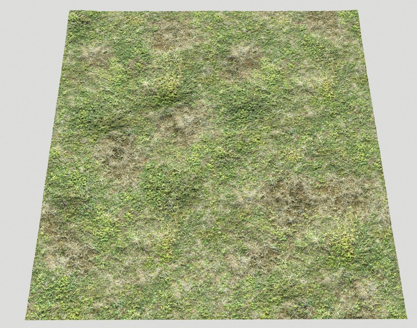 Forest ground Pack PBR 2 Texture_21
