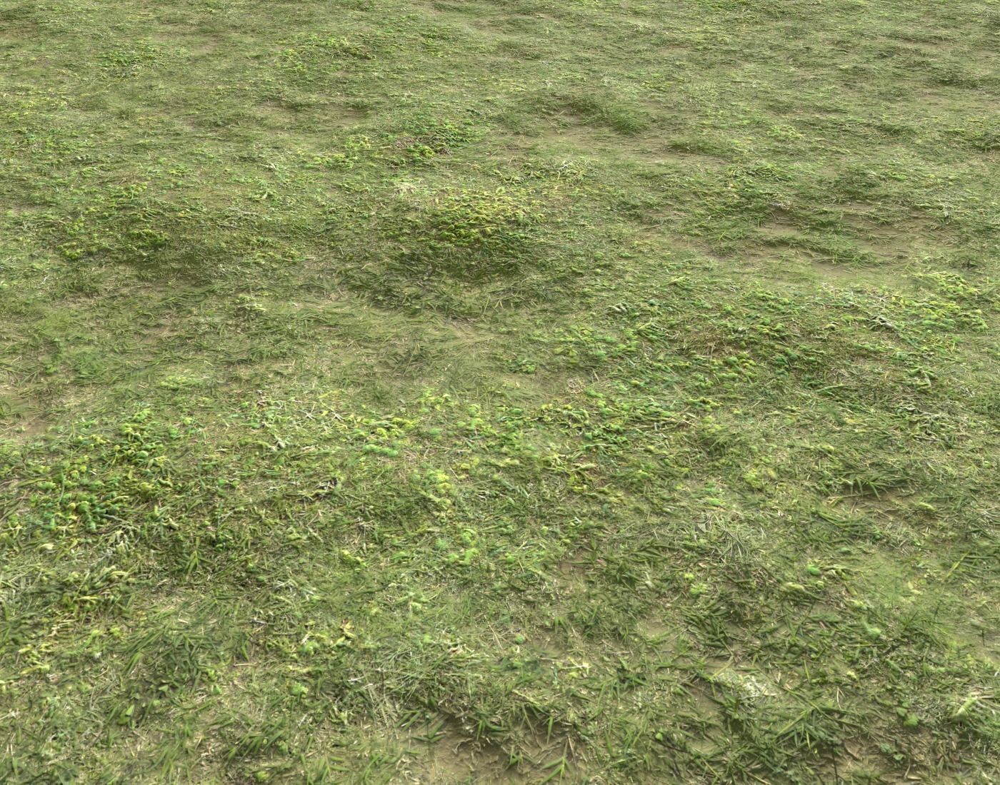 Forest ground Pack PBR 2 Texture_19