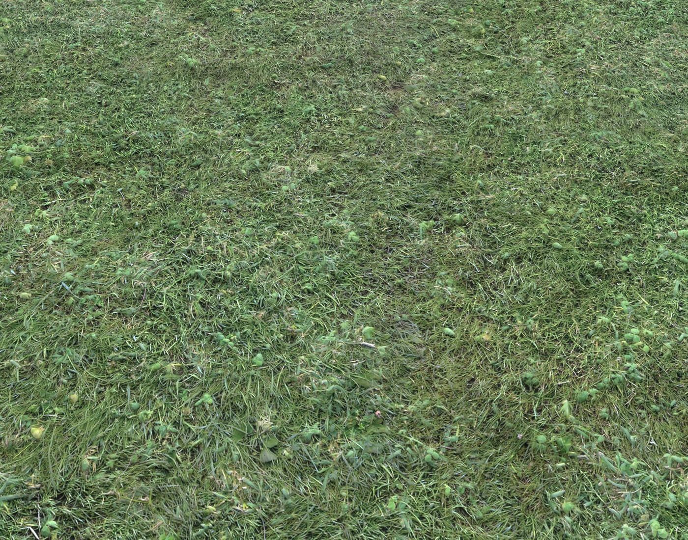 Forest ground Pack PBR 2 Texture_16