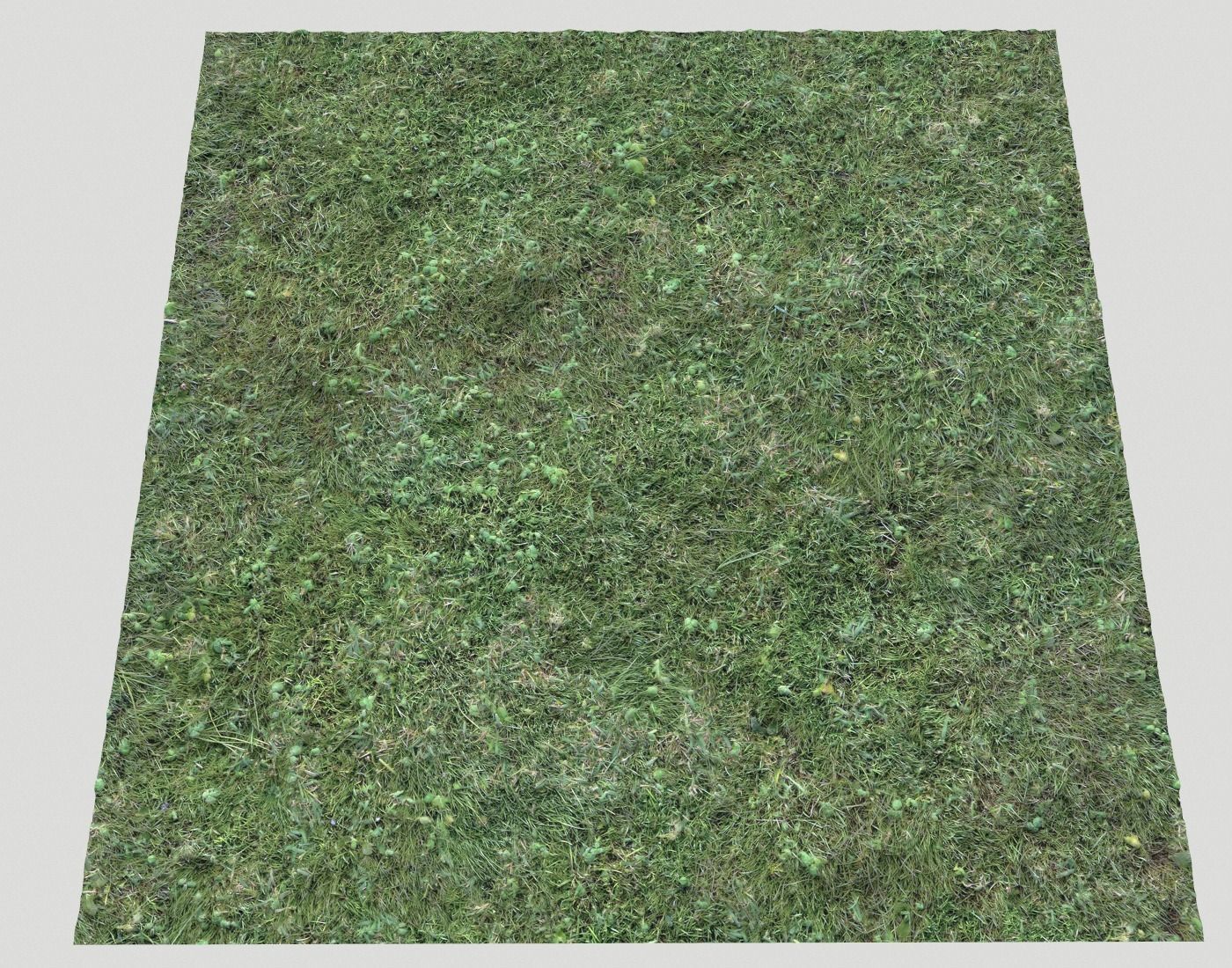 Forest ground Pack PBR 2 Texture_23