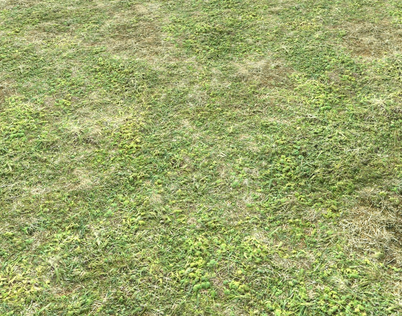 Forest ground Pack PBR 2 Texture_8