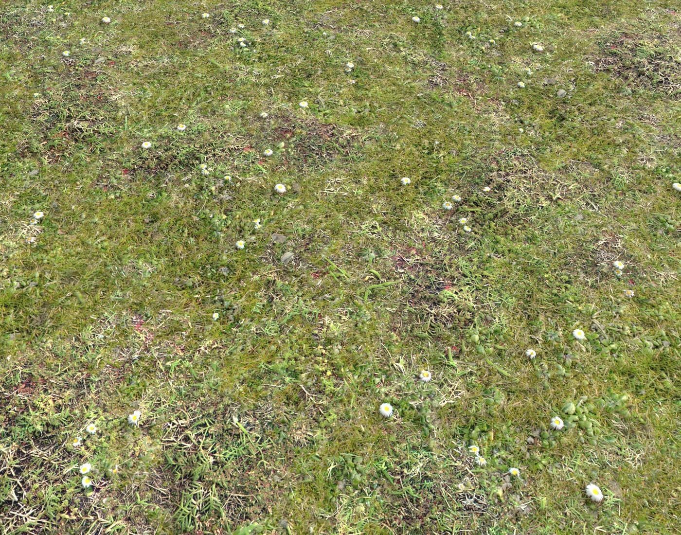Forest ground Pack PBR 2 Texture_11