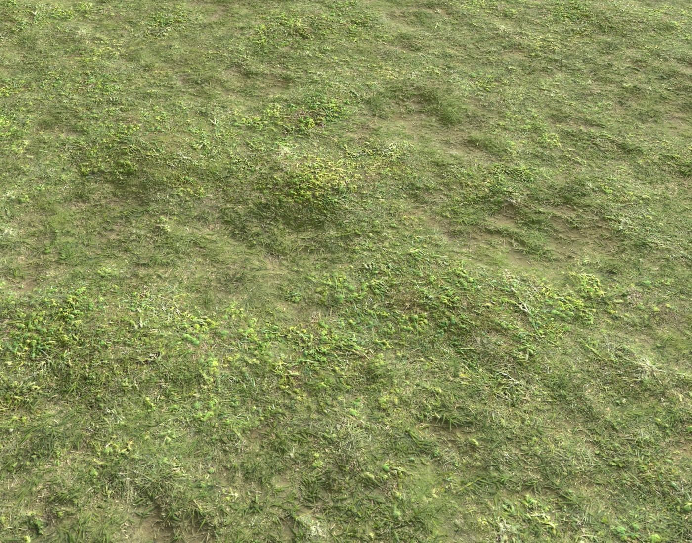 Forest ground Pack PBR 2 Texture_17