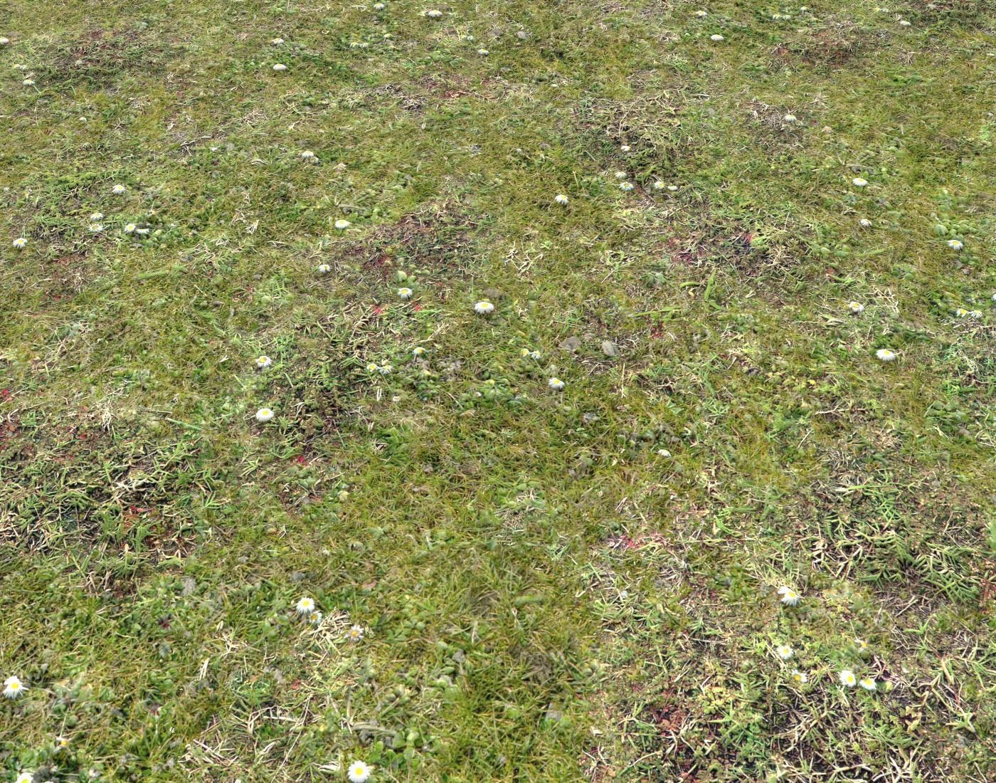 Forest ground Pack PBR 2 Texture_12