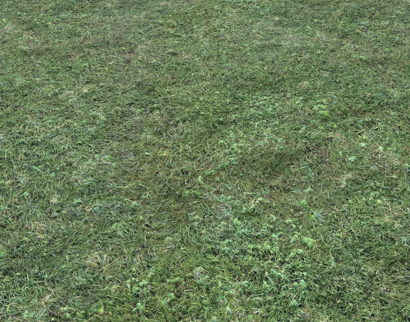 Forest ground Pack PBR 2 Texture_15