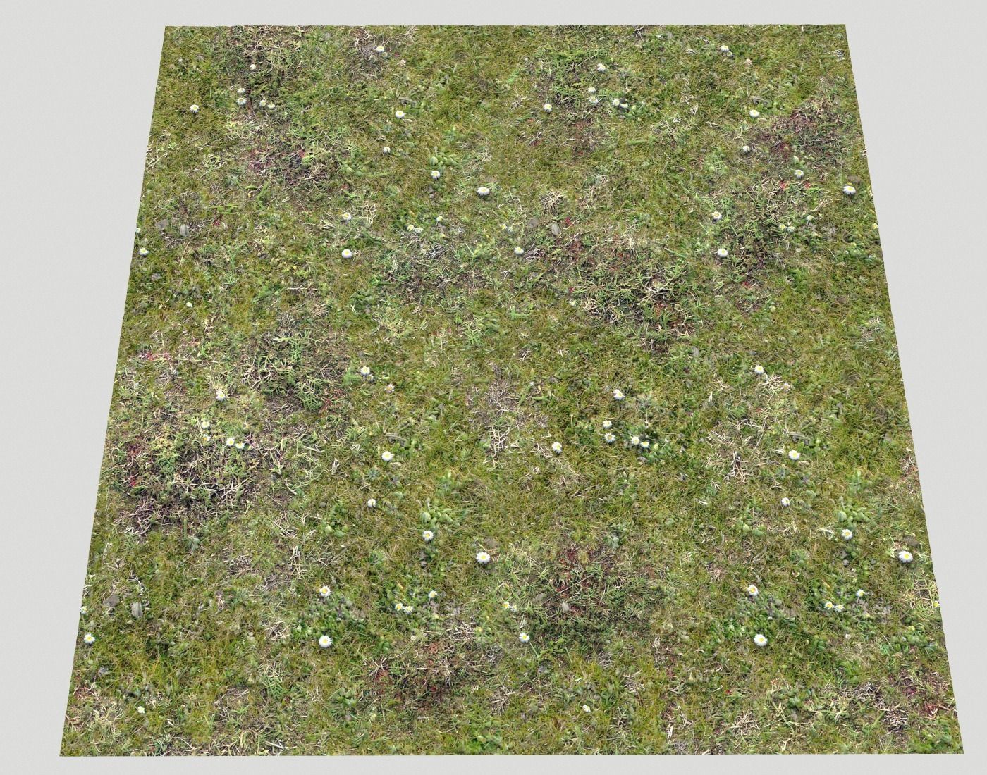 Forest ground Pack PBR 2 Texture_22