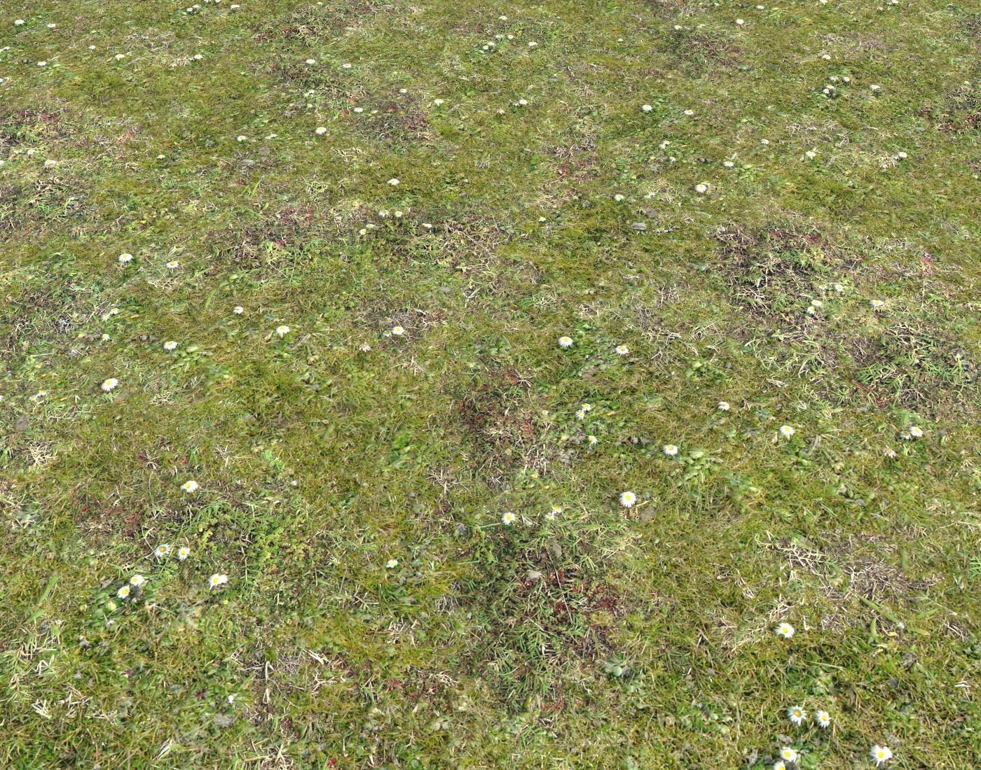 Forest ground Pack PBR 2 Texture_10