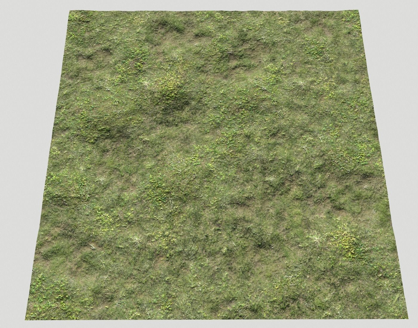Forest ground Pack PBR 2 Texture_24