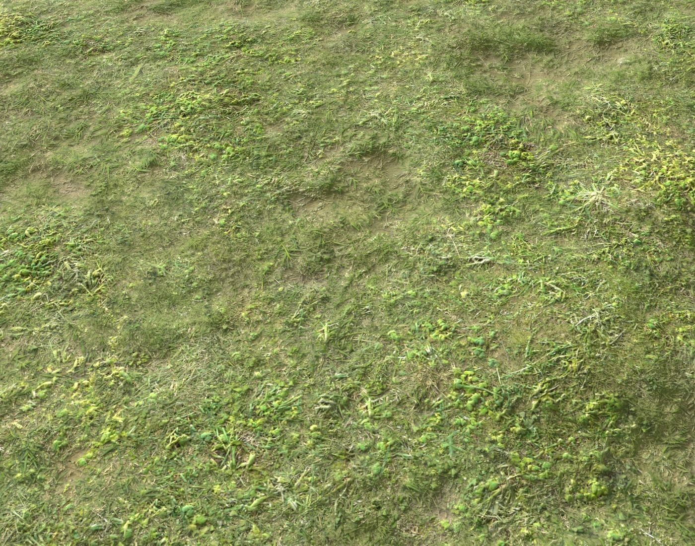 Forest ground Pack PBR 2 Texture_20