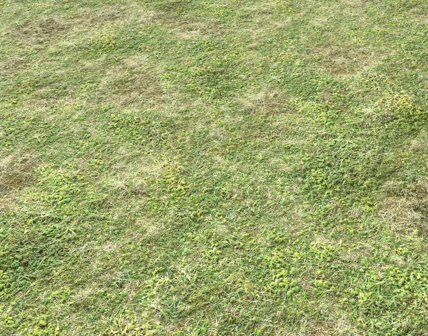 Forest ground Pack PBR 2 Texture_9