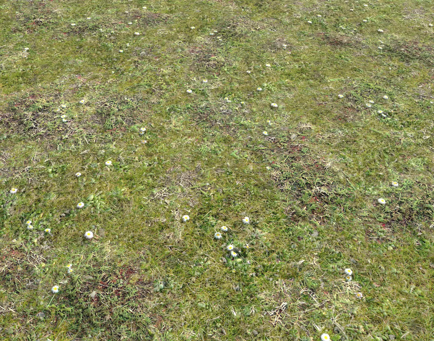 Forest ground Pack PBR 2 Texture_0