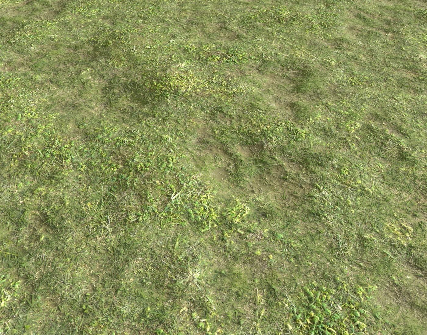 Forest ground Pack PBR 2 Texture_18