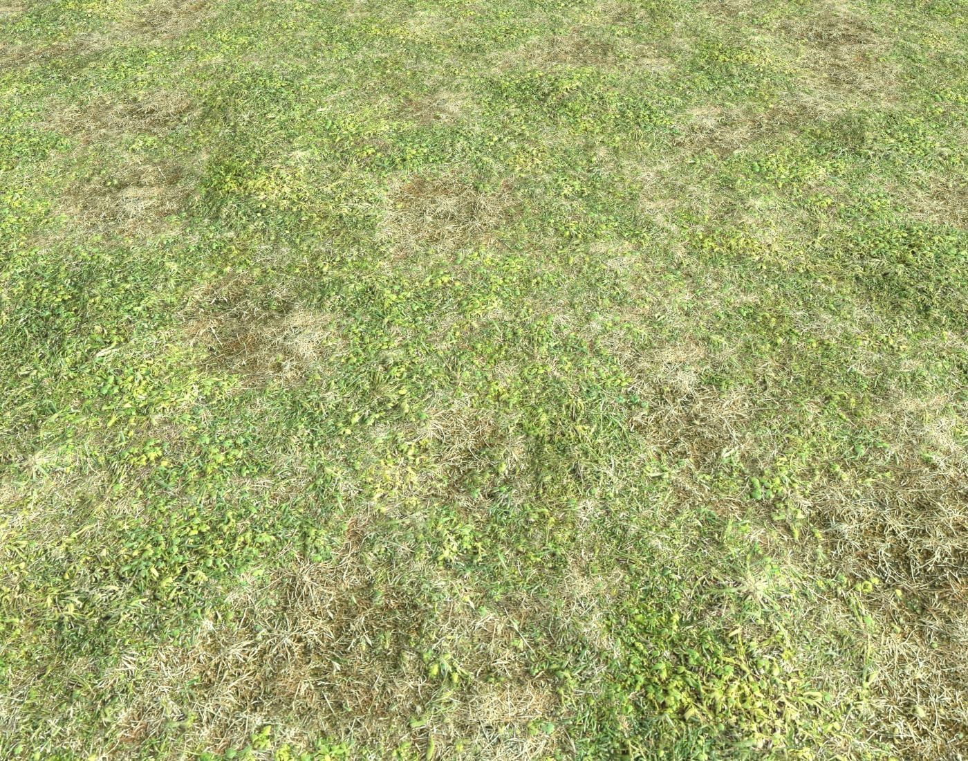 Forest ground Pack PBR 2 Texture_7