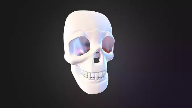 Human Skull