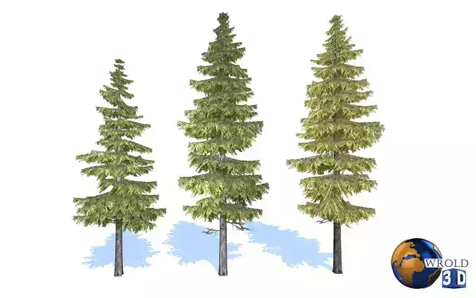 Spruce Trees Lowpoly 3d Model