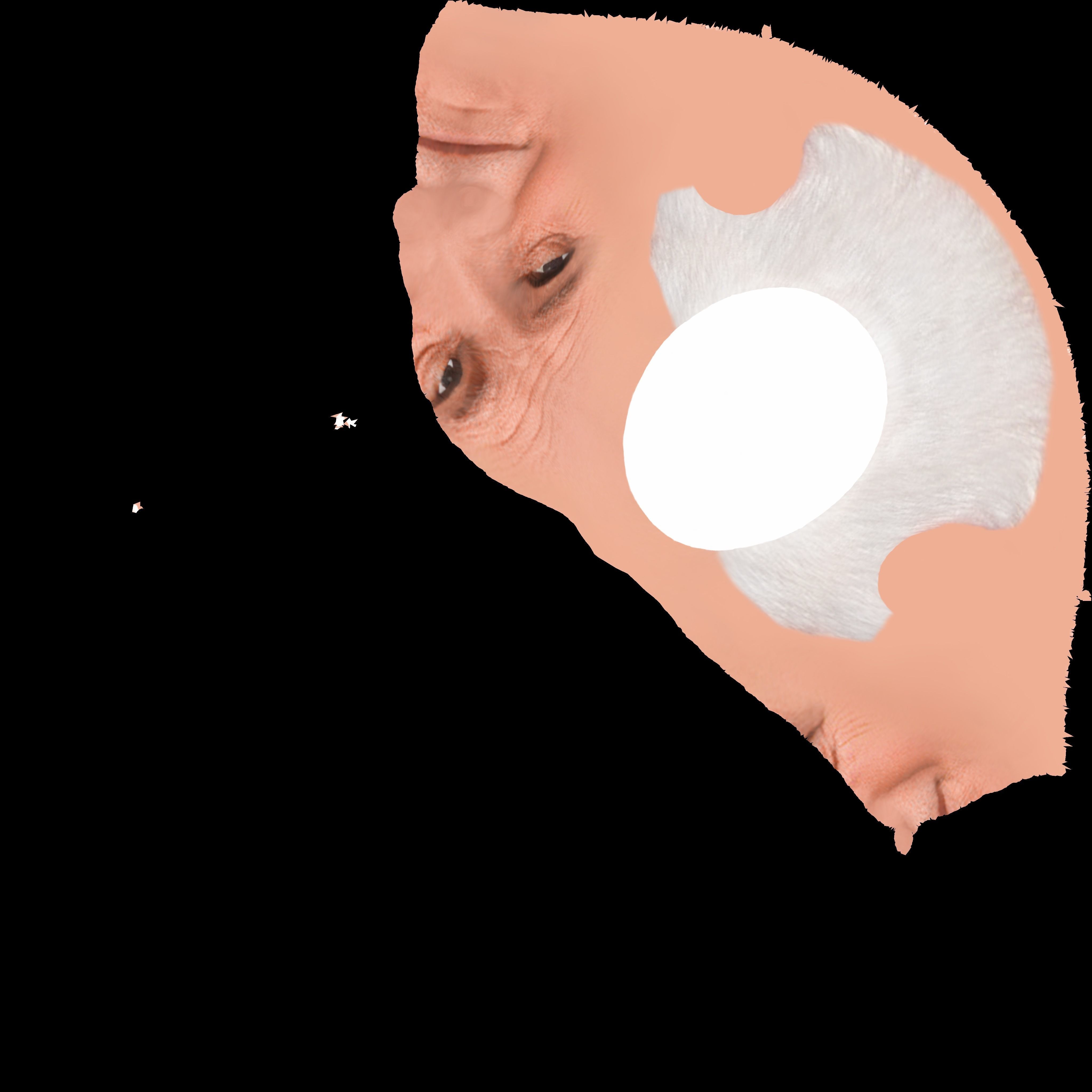 Pope John Paul II 3D model_22