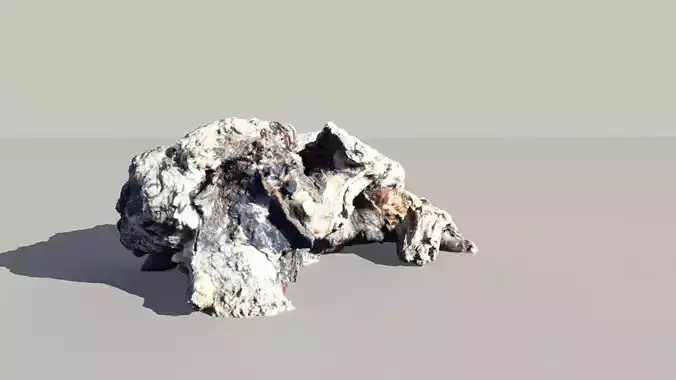 Driftwood Log 3D Scanned Model