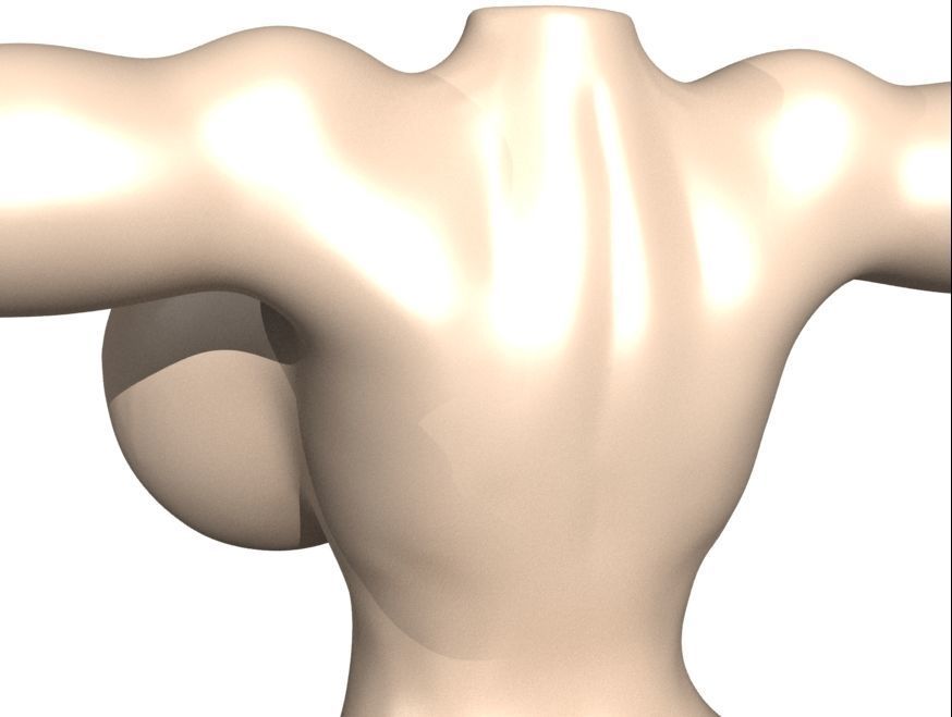 Female body Naked 3D model_3