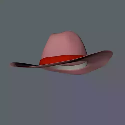 Stetson Style Western Hat 