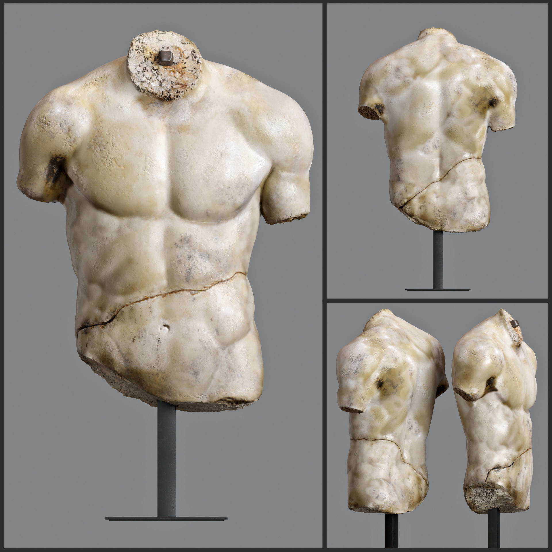 DISCOPHORUS TORSO 3D model_1