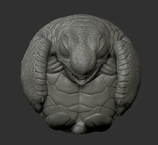 Baby Turtle pose in the shell 3D print model