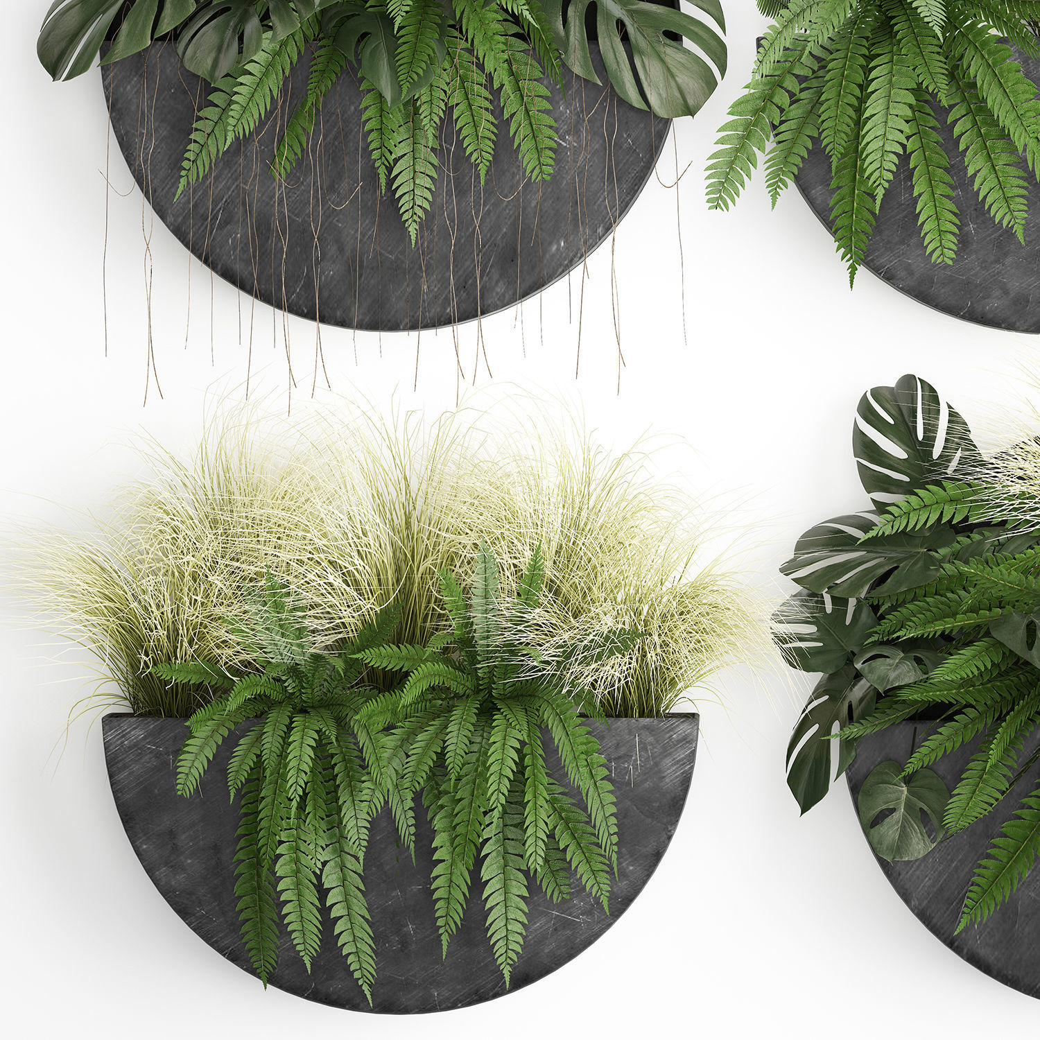 Green wall decor vertical garden 57 3D model_2