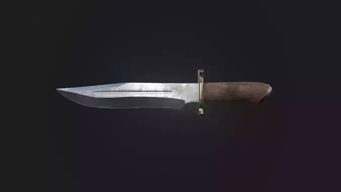 Bowie Knife