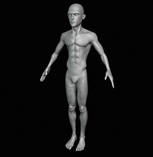 Cartoon Male Base Mesh 3D model