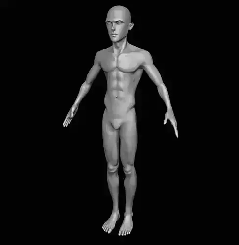 Cartoon Male Base Mesh 3D model