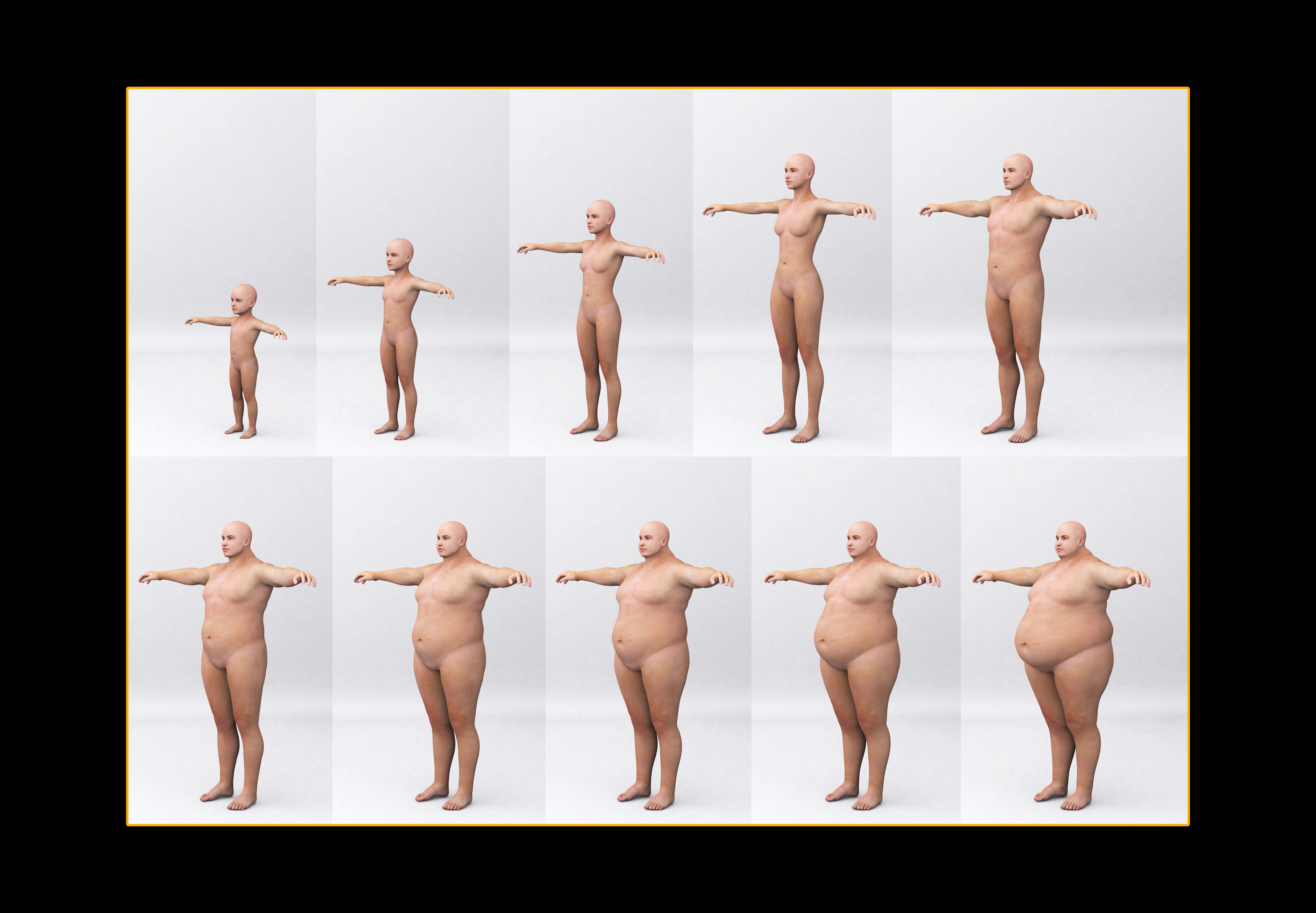 Combine human sizes - from small to large 3D model_1