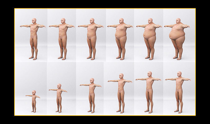 Combine human sizes - from small to large 3D model