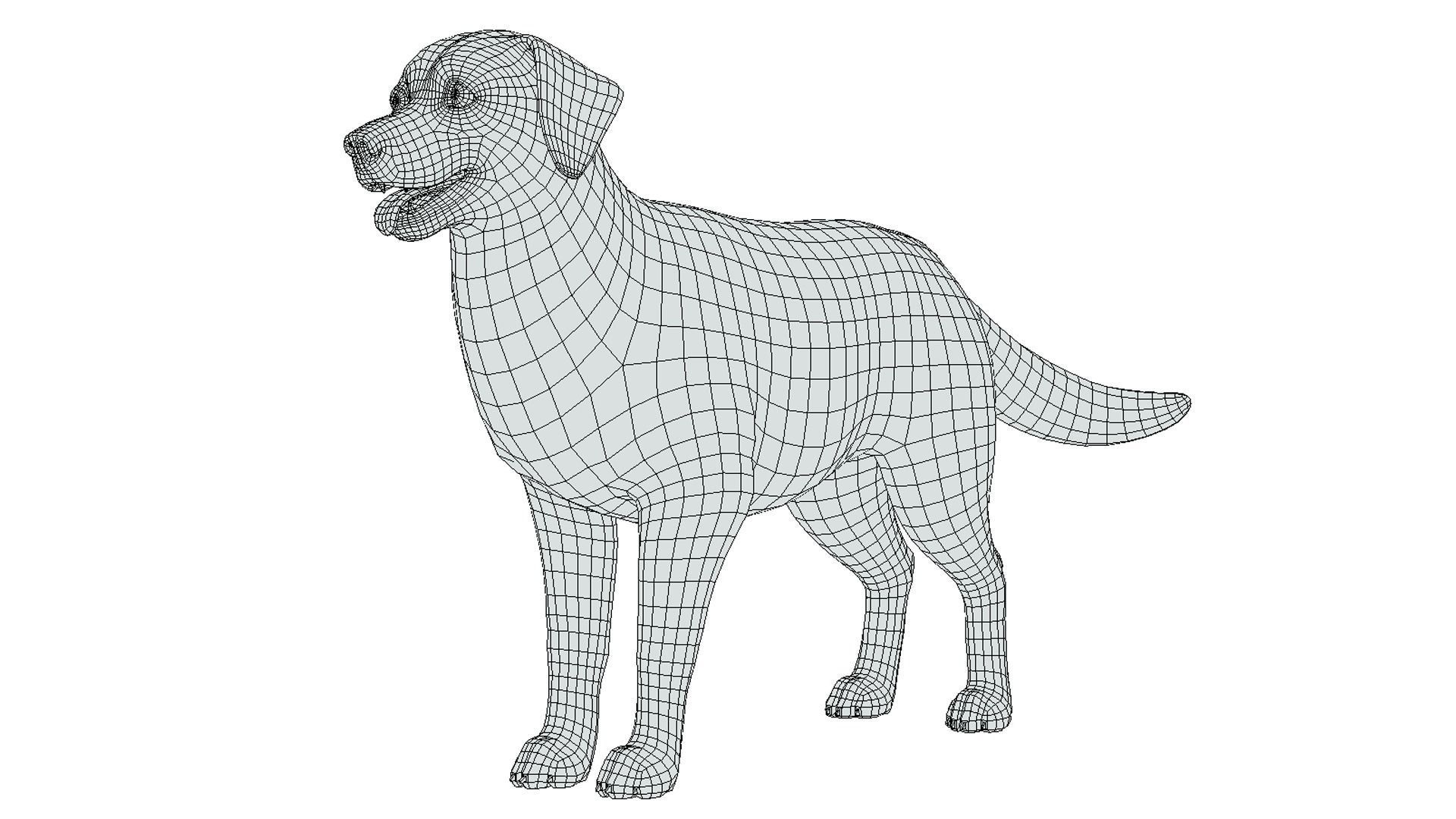 Cartoon Dog - Golden Retriever Low-poly 3D model_14