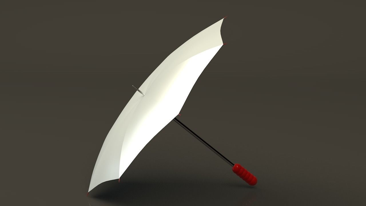 2 sides Umbrella 3D model_3