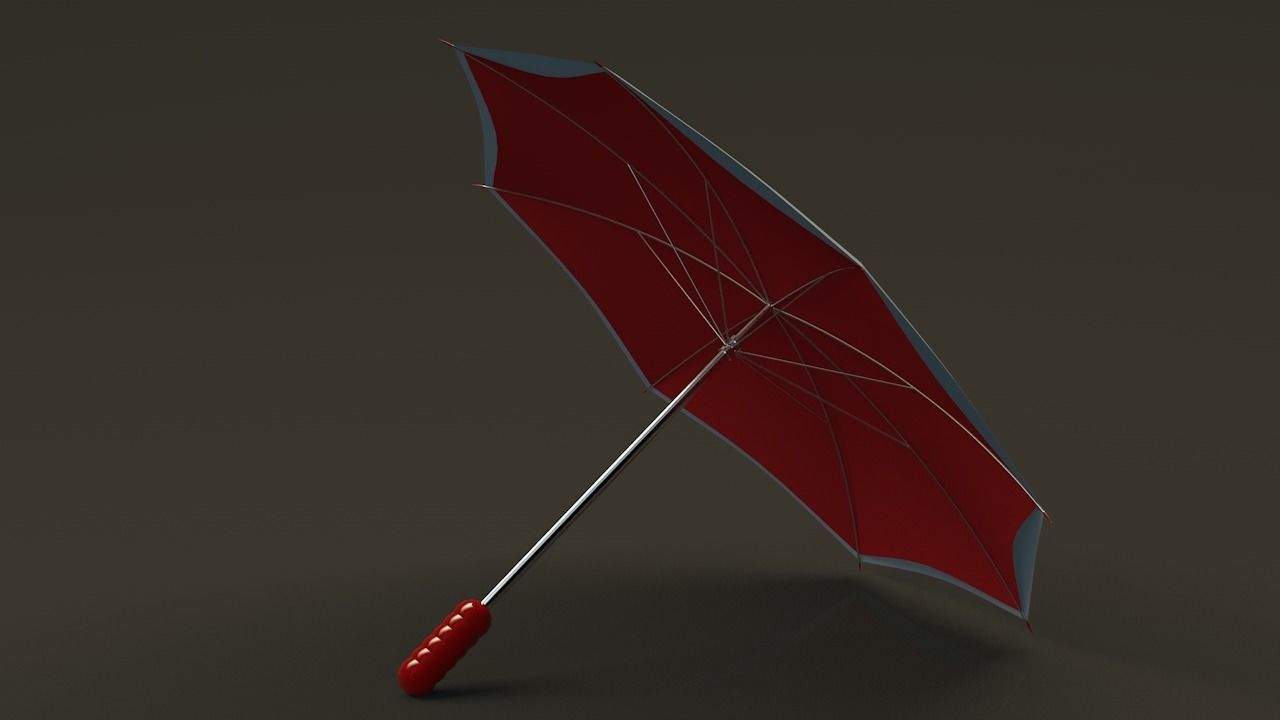 2 sides Umbrella 3D model_5