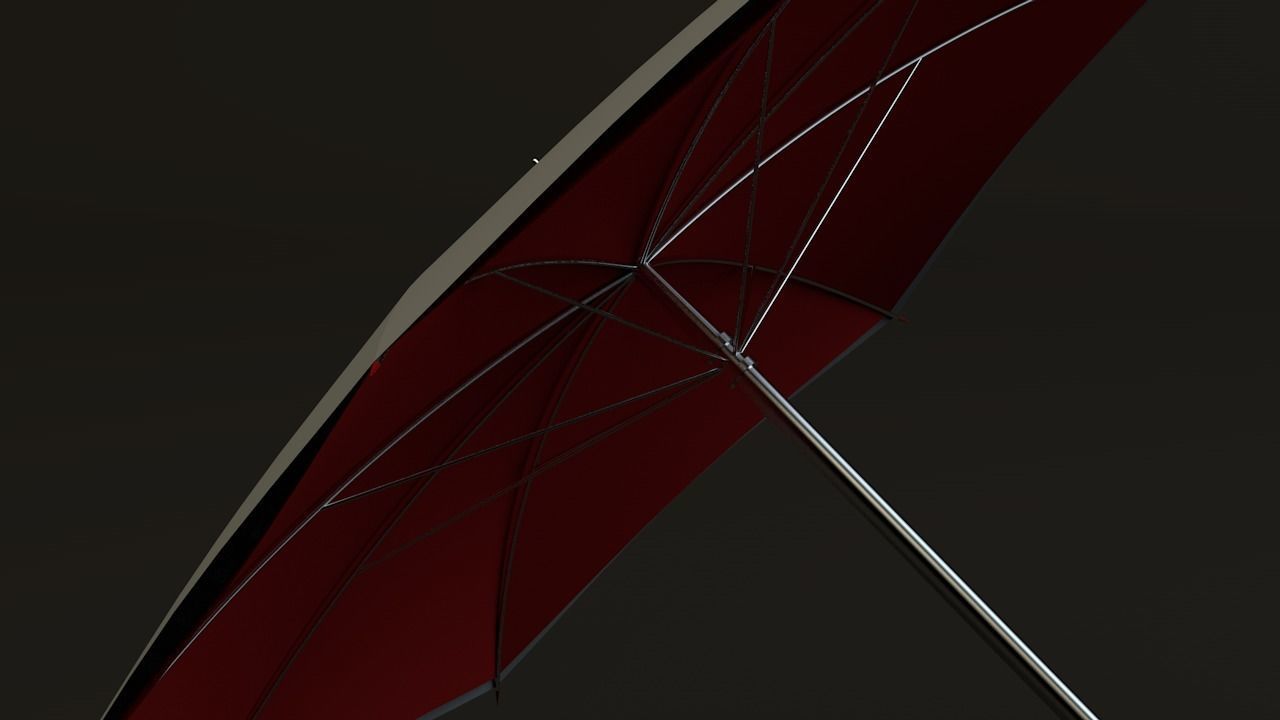 2 sides Umbrella 3D model_1