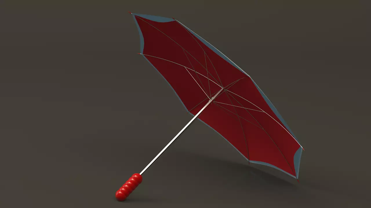 2 sides Umbrella 3D model_0