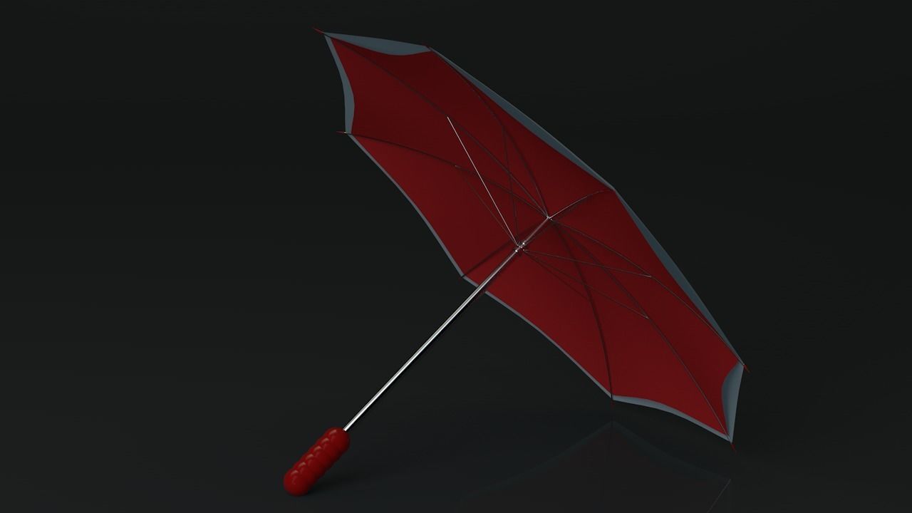 2 sides Umbrella 3D model_4