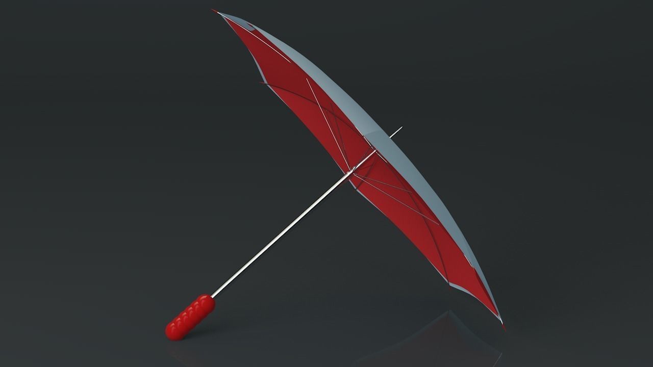 2 sides Umbrella 3D model_6