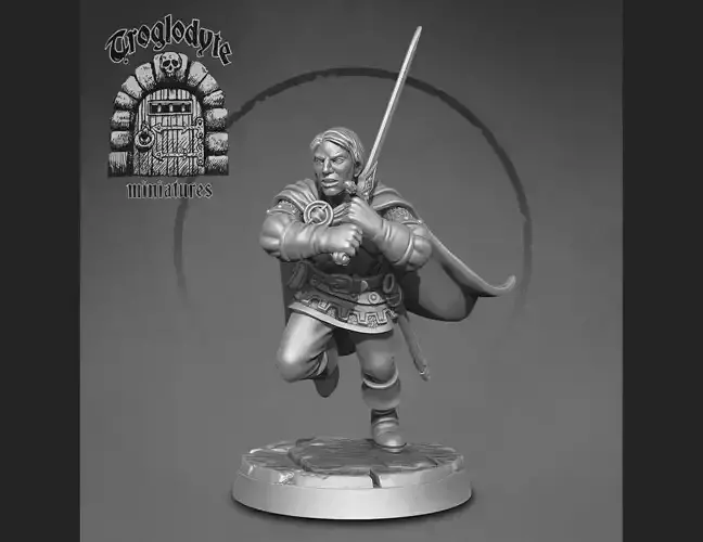 Human Rogue 3D print model