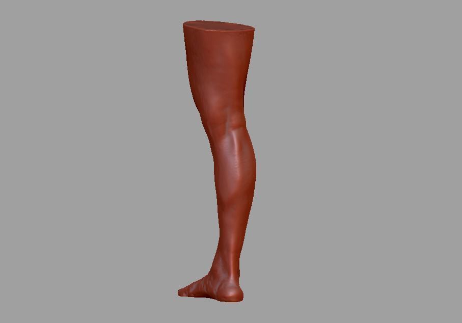 Human leg and foot 3D print model_3