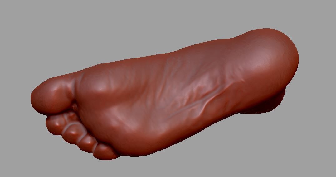 Human leg and foot 3D print model_17