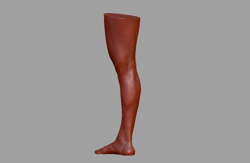 Human leg and foot 3D print model_2