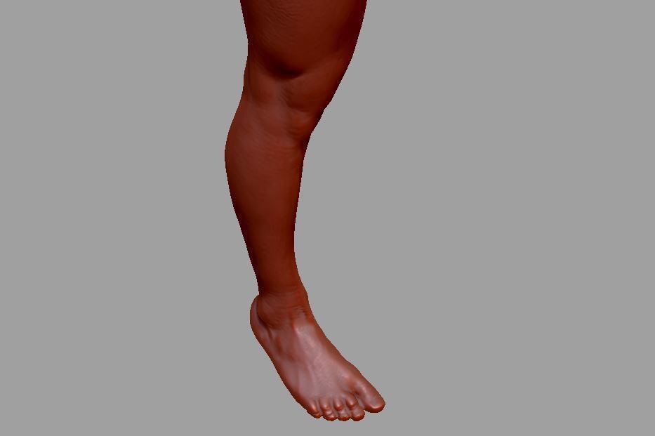 Human leg and foot 3D print model_8