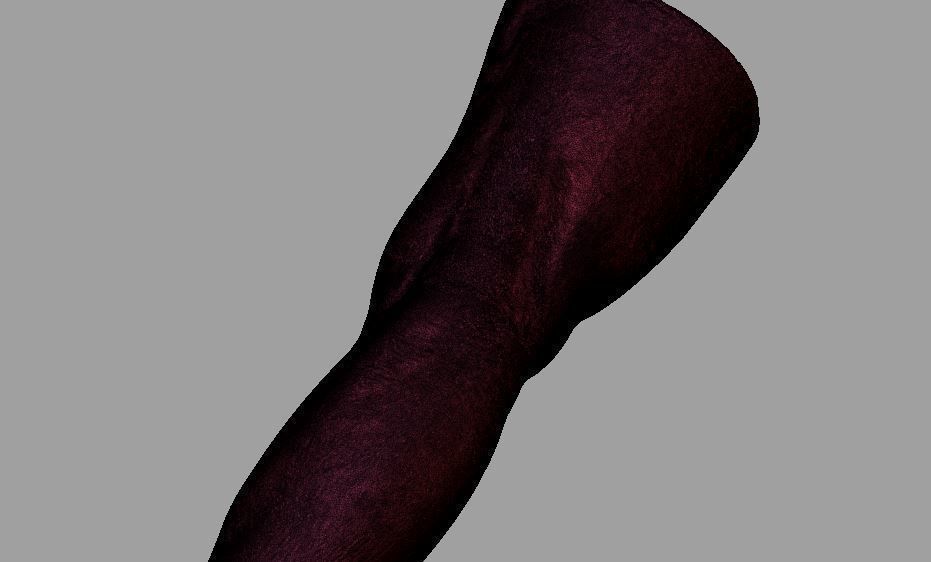 Human leg and foot 3D print model_13