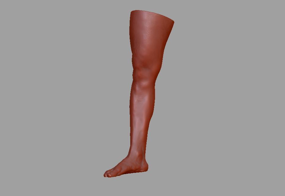 Human leg and foot 3D print model_10