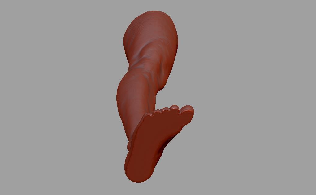 Human leg and foot 3D print model_12