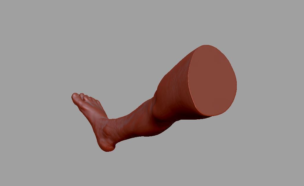 Human leg and foot 3D print model_11